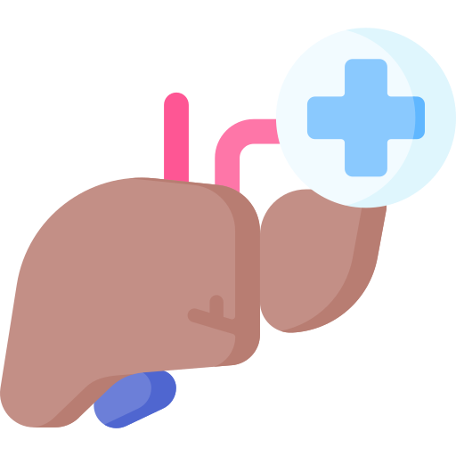 Liver Transplant Surgery