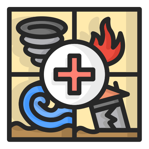 Disaster Medicine
